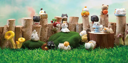 Curious Play Cat Diary Series